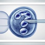 لقاح آزمایشگاهی (IVF) چگونه انجام می شود؟