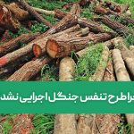 چرا طرح تنفس جنگل اجرایی نشد؟