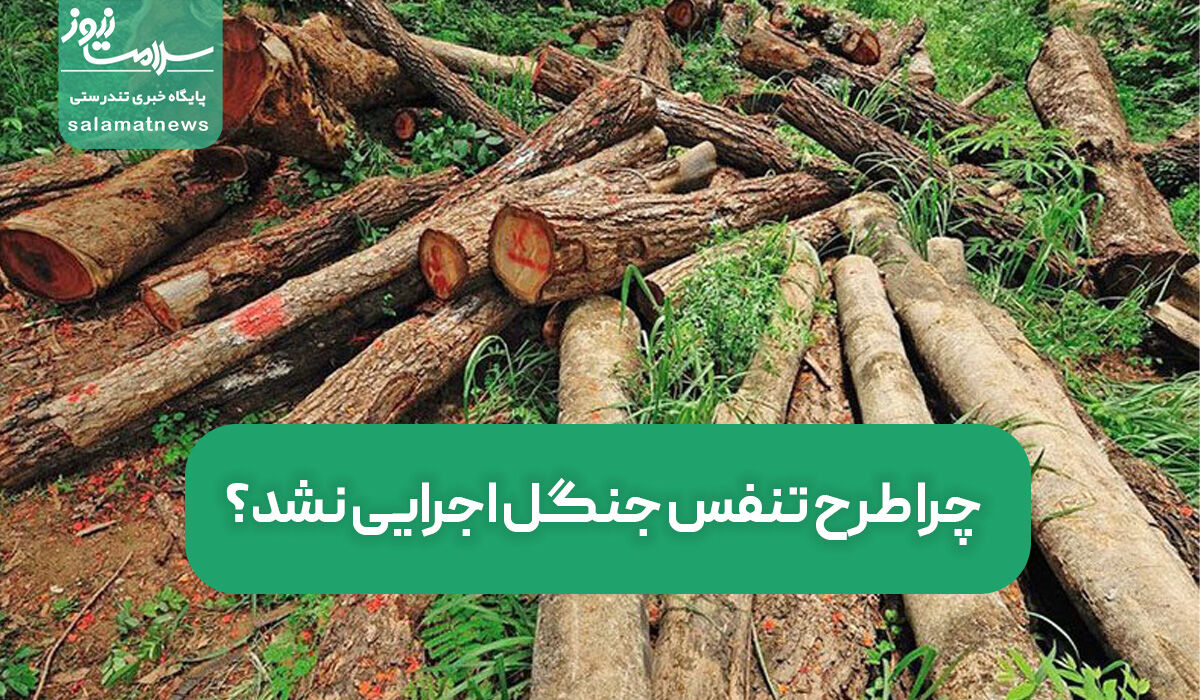 چرا طرح تنفس جنگل اجرایی نشد؟