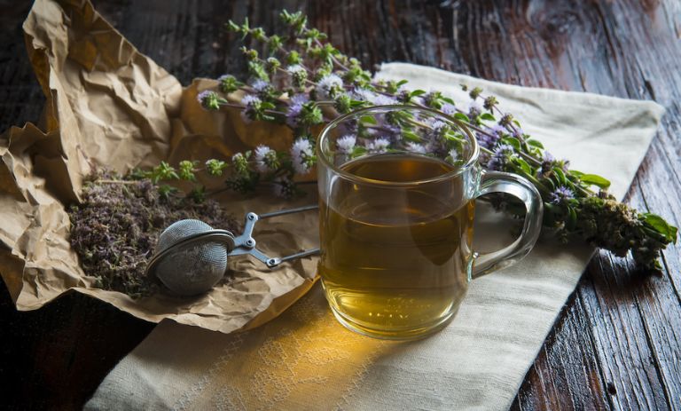 طرز تهیه دمنوش کاکوتی + بهترین زمان مصرف