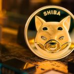 حریم خصوصی، اولویت اصلی شیبا! آیا این رویکرد قیمت SHIB را به اوج می‌رساند؟