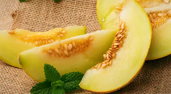 تعبیر خواب طالبی زرد برای زن متاهل و باردار و دختر مجرد از روانشناسی
