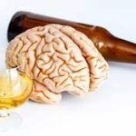 نوشیدن الکل، مغز را می‌فرساید و عمر را کوتاه می‌کند
