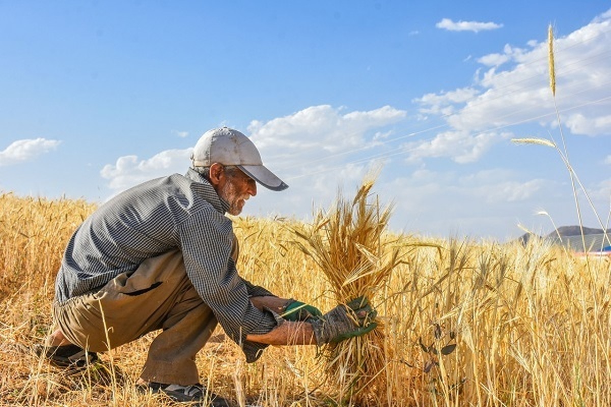 کشاورزان چه خدماتی را میتوانند از بسیج دریافت کنند؟
