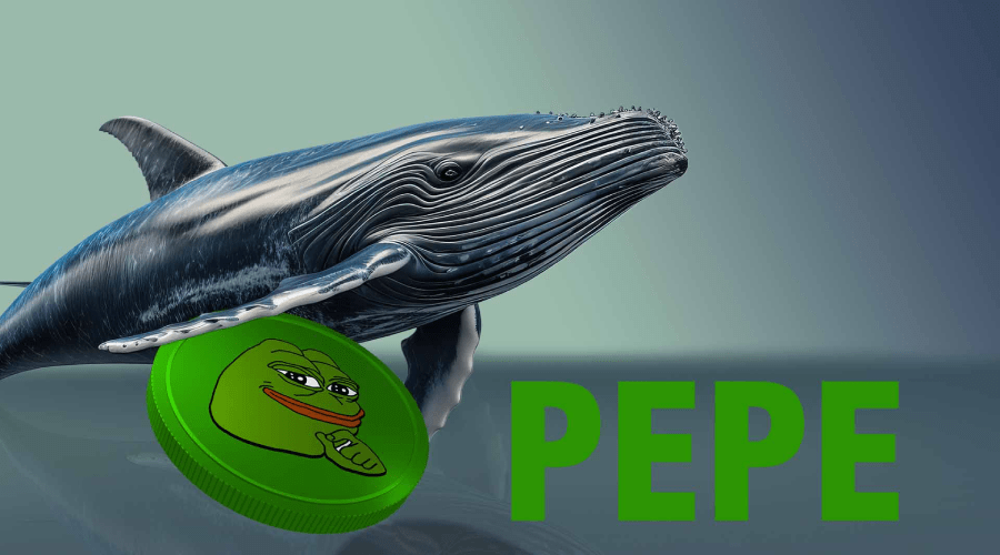 نهنگ‌های پپه به بازی بازگشتند! قیمت PEPE آماده حرکت صعودی است؟