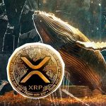 خبرهای هیجان‌انگیزی برای جامعه ریپل در راه است؛ نهنگ‌ها ۱۲۰ میلیون XRP خریدند!