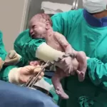 تعبیر خواب قابله شدن در خواب برای زن متاهل و باردار و دختر مجرد از روانشناسی