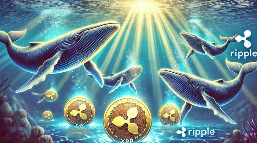 خرید یک میلیارد XRP توسط نهنگ‌ها؛ آیا ریپل از اتریوم پیشی می‌گیرد؟