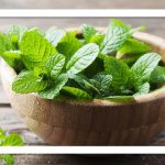 خوشبو کردن دستگاه تنفسی با نعناع: گیاهی معطر با خواص شگفت‌انگیز برای سلامتی