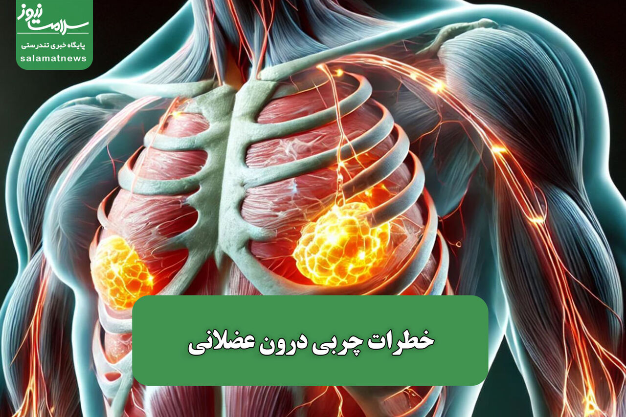 خطرات چربی درون عضلانی – سلامت نیوز