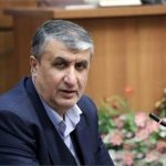 اظهارات مهم رئیس سازمان انرژی اتمی در بندر بوشهر
