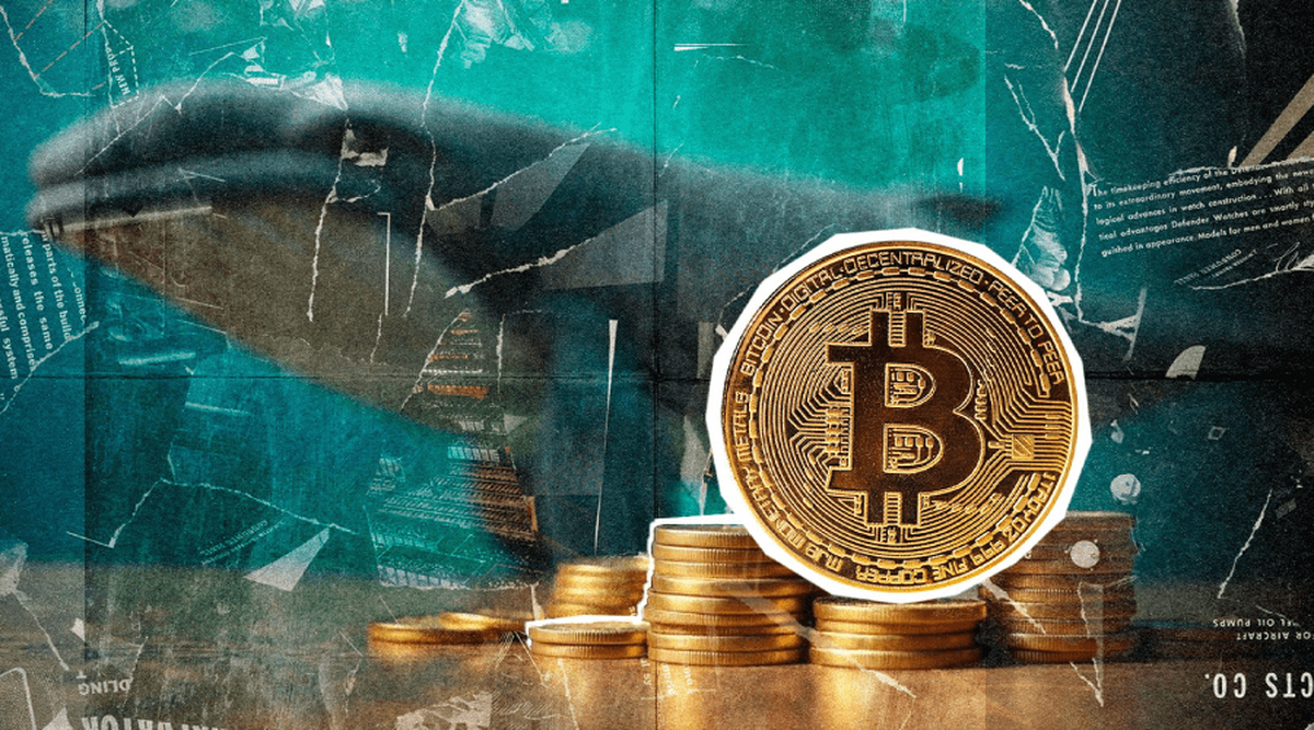 انباشت میلیاردی نهنگهای بیتکوین در کف ۸۶ هزار دلار! + پیش بینی قیمت ها