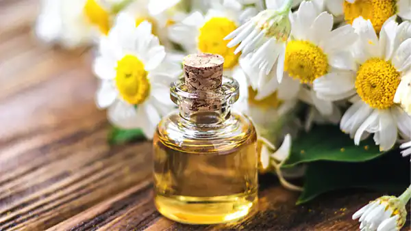 تعبیر خواب عطر یاس برای زن متاهل و باردار و دختر مجرد از روانشناسی