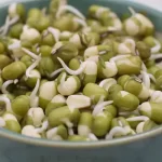 تعبیر خواب جوانه ماش برای زن متاهل و باردار و دختر مجرد از روانشناسی