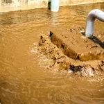 تعبیر خواب لجن و فاضلاب برای زن متاهل و باردار و دختر مجرد از روانشناسی
