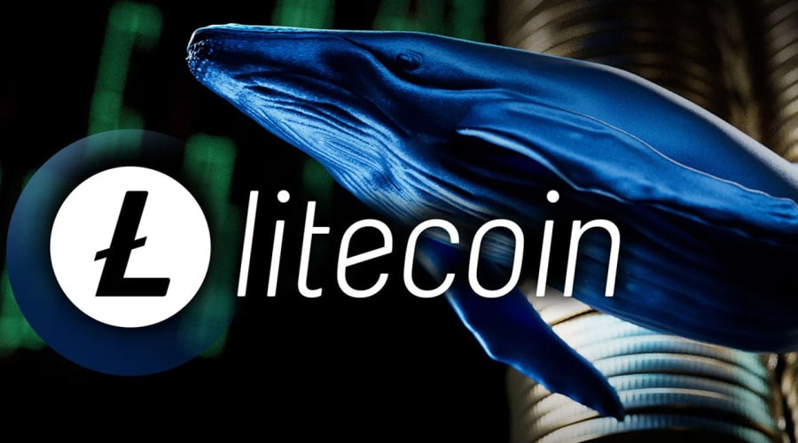 تأیید ETF لایت‌کوین نزدیک است؟ نهنگ‌ها ۵۱۲ میلیون دلار LTC انباشت کردند!