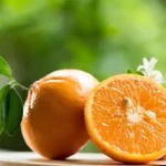تعبیر خواب نارنج خراب برای زن متاهل و باردار و دختر مجرد از روانشناسی