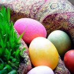 3 روش کاشت سبزه کنجد برای عید + زمان کاشت و نگهداری آن