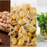 کاشت نخود برای سبزه عید + بهترین زمان و روش نگهداری