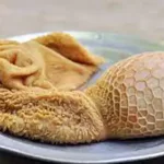 تعبیر خواب سیرابی گاو برای زن متاهل و باردار و دختر مجرد از روانشناسی