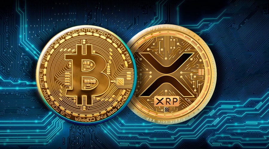 پایان تنشهای بین بیتکوین و ریپل؟ پیتر تاد درباره XRP صحبت میکند!