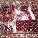 3 روش شستشوی فرش برای خانه تکانی عید 1404