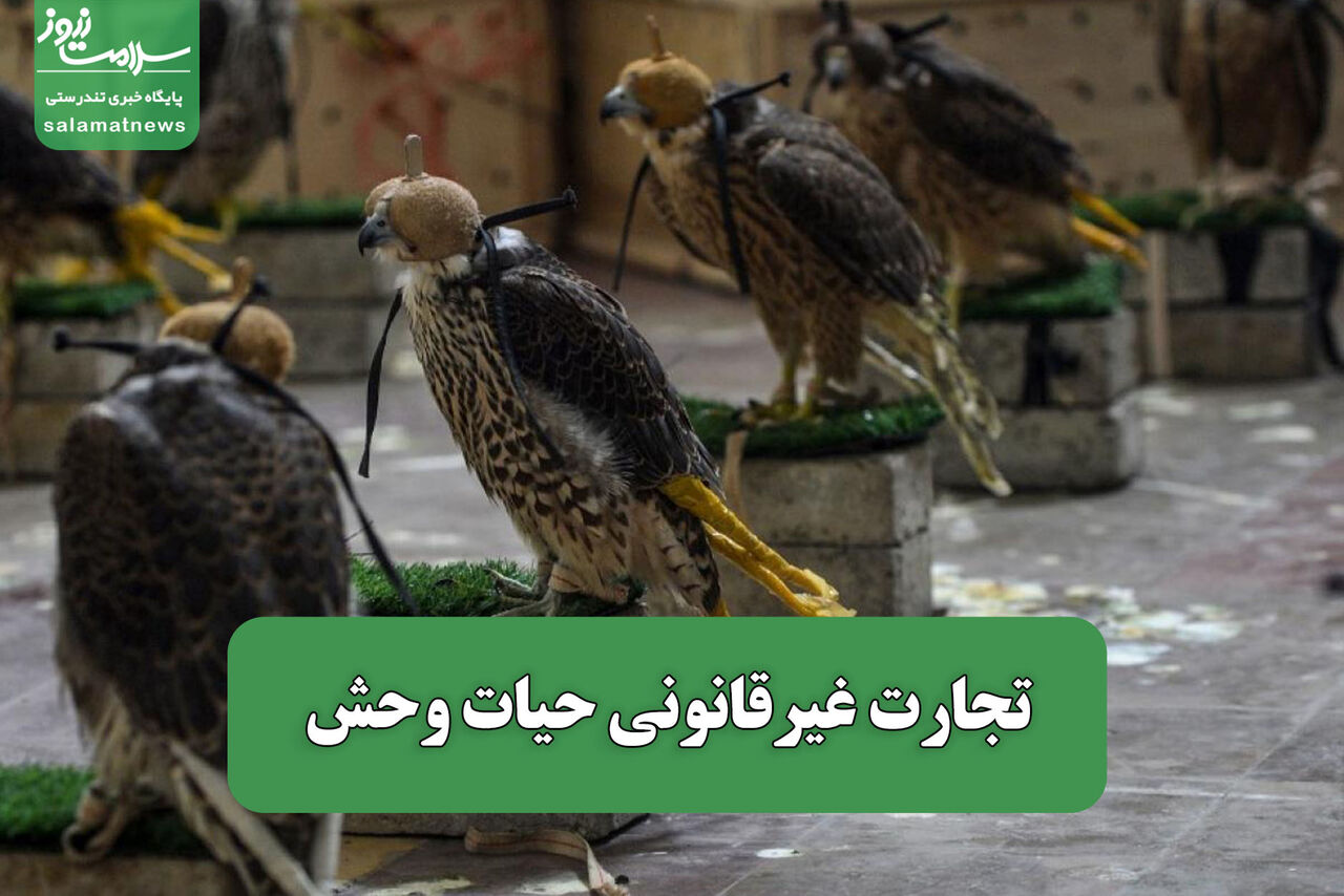 تجارت غیرقانونی حیات وحش – سلامت نیوز