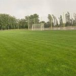 با درخواست کارتال، زمین شماره ۲ آزادی به پرسپولیس رسید