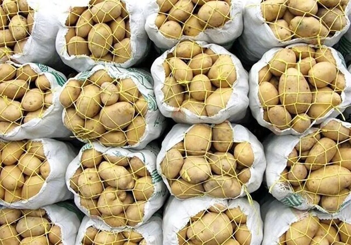 کی آرامش به بازار سیبزمینی باز میگردد؟