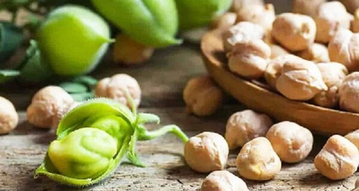 کشف ژنهای بیماریزا در نخود
