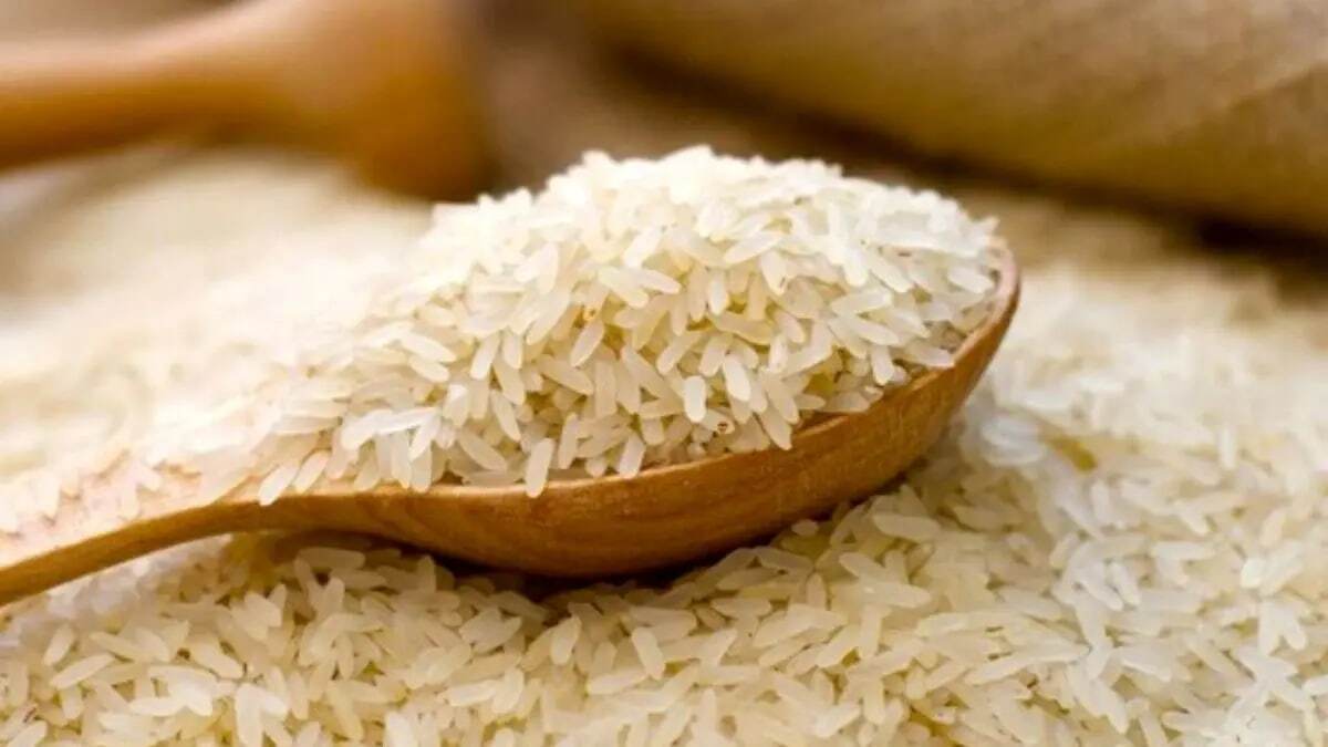 قیمت برنج خارجی ۴ فروردین ۱۴۰۴ / برنج پاکستانی کیلویی ۱۱۰ هزار تومان شد