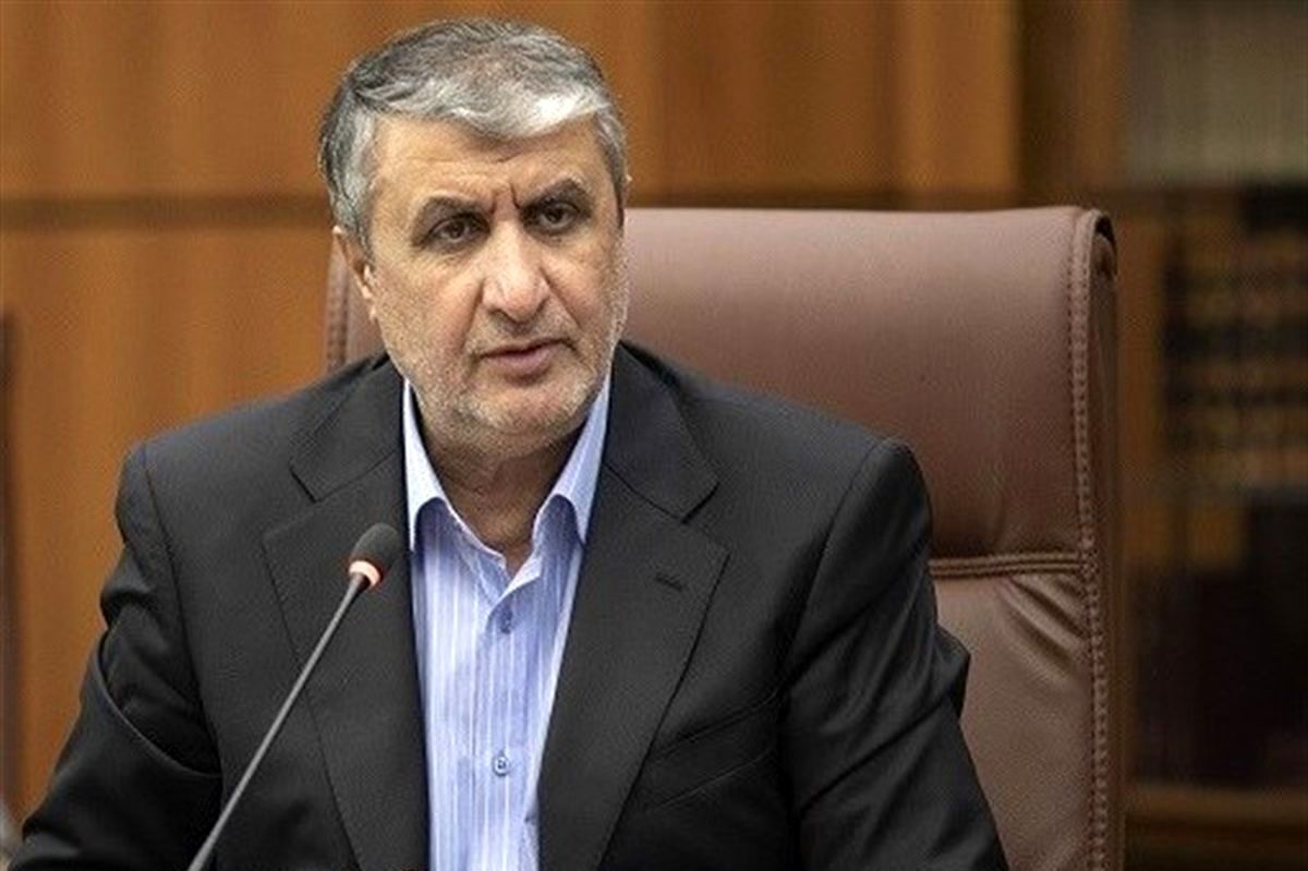 همکاری سازمان انرژی اتمی با بخش خصوصی