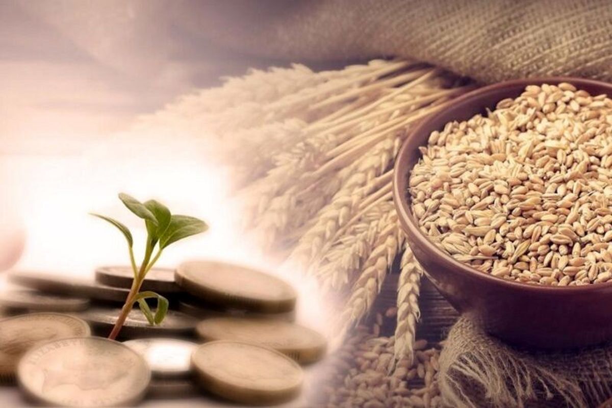 آیا پرداخت فطریه مهمان به عهده میزبان است؟