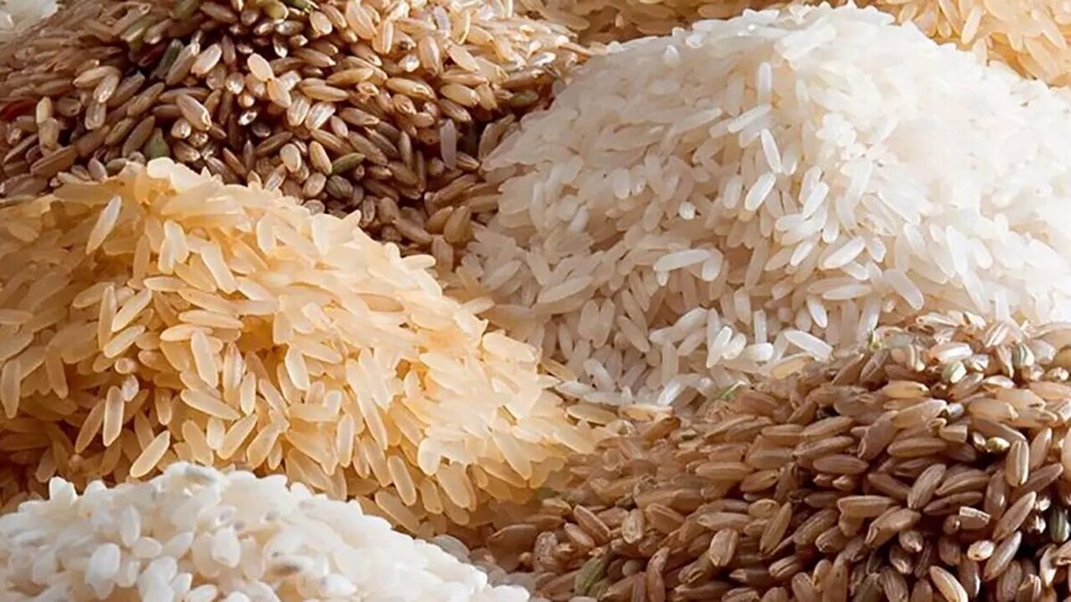 برنج پاکستانی طبیعت چند؟ + جدول قیمت ۱۱ فروردین ۱۴۰۴