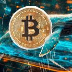 نهنگ مرموز و موقعیت فروش ۴۶۴ میلیون دلاری؛ چرا بیت کوین رشد نمی‌کند؟