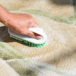 تمیز کردن فرش با مواد طبیعی؛ 5 راهکار ساده و مؤثر برای خانه‌تکانی