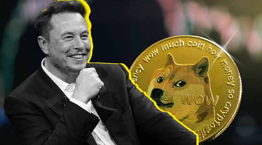 دوج کوین درگیر نوسانات سیاسی؛ آیا ایلان ماسک عامل اصلی سقوط DOGE است؟