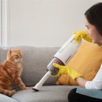 5 ترفند طلایی برای پاک‌سازی موی حیوانات خانگی از سطوح مختلف
