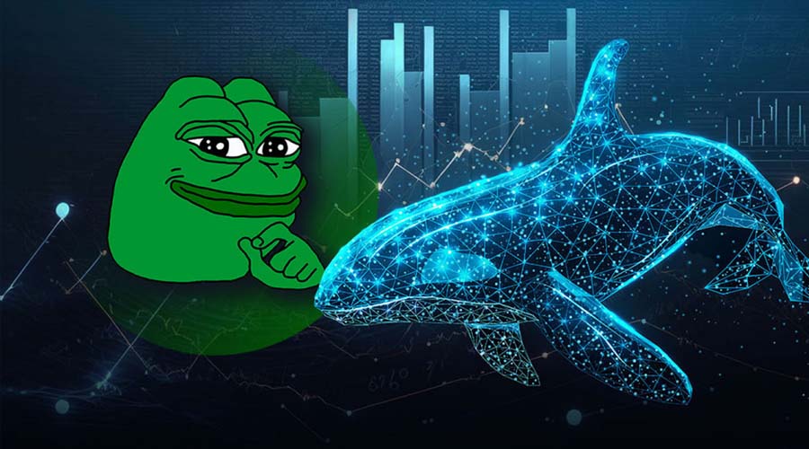 افزایش چشمگیر فعالیت نهنگها در PEPE؛ آیا روند نزولی معکوس میشود؟