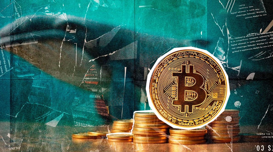 بازگشت نهنگها به بازار؛ ۵ هزار بیتکوین در بحبوحه ریزش قیمتها خریداری شد!