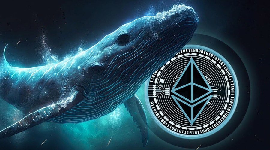 انباشت ۱.۱ میلیون اتریوم توسط نهنگها؛ الگوی تاریخی ۲۰۱۷ تکرار میشود؟