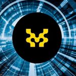 صعود انفجاری موومنت در دل بازار نزولی! مقصد بعدی قیمت MOVE کجاست؟