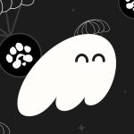شمارش معکوس برای عرضه پاز؛ جزییات برداشت توکن‌های PAWS منتشر شد!