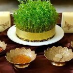 کاشت سبزه جعفری برای عید نوروز+ زمان مناسب و روش نگهداری