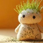 کاشت سبزه عروسکی برای عید (با جوراب، خاک اره و بطری نوشابه)