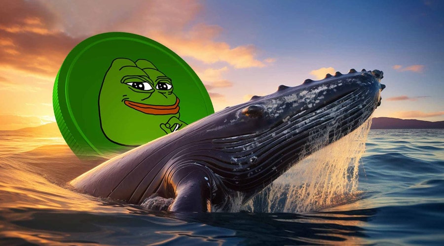 انباشت بزرگ نهنگ PEPE در بازار نوسانی؛ آماده افزایش قیمت باشیم؟