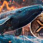 ریپل آماده انفجار قیمتی؛ نهنگ‌ها ۳.۳ میلیارد دلار XRP انباشت کردند!