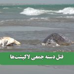 قتل دسته جمعی لاکپشت‌ها – سلامت نیوز