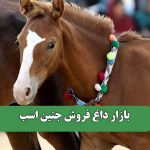 بازار داغ فروش جنین اسب