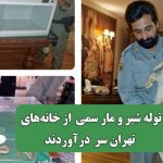 توله شیر و مار سمی از خانه‌های تهران سر درآوردند